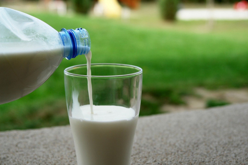 «Молвест» утроил экспорт молочной продукции в I квартале 2021 года 