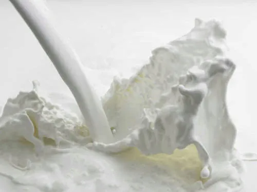 фотография продукта Сухое обезжиренное молоко Гост